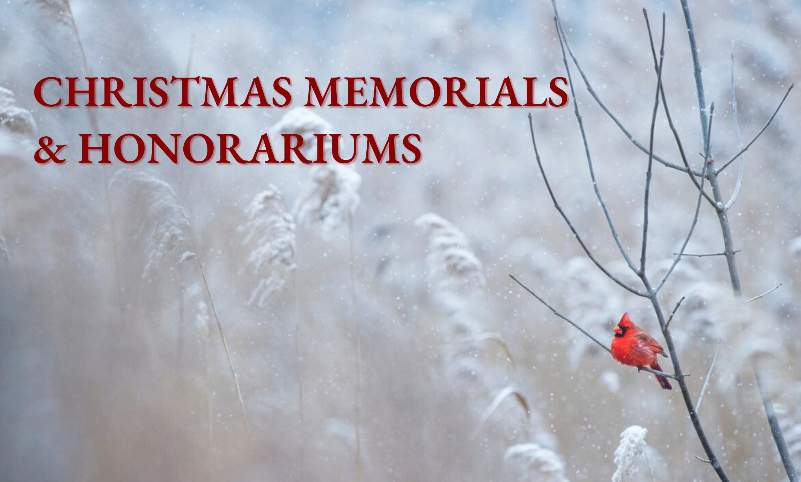 Christmas Memorials & Honorariums