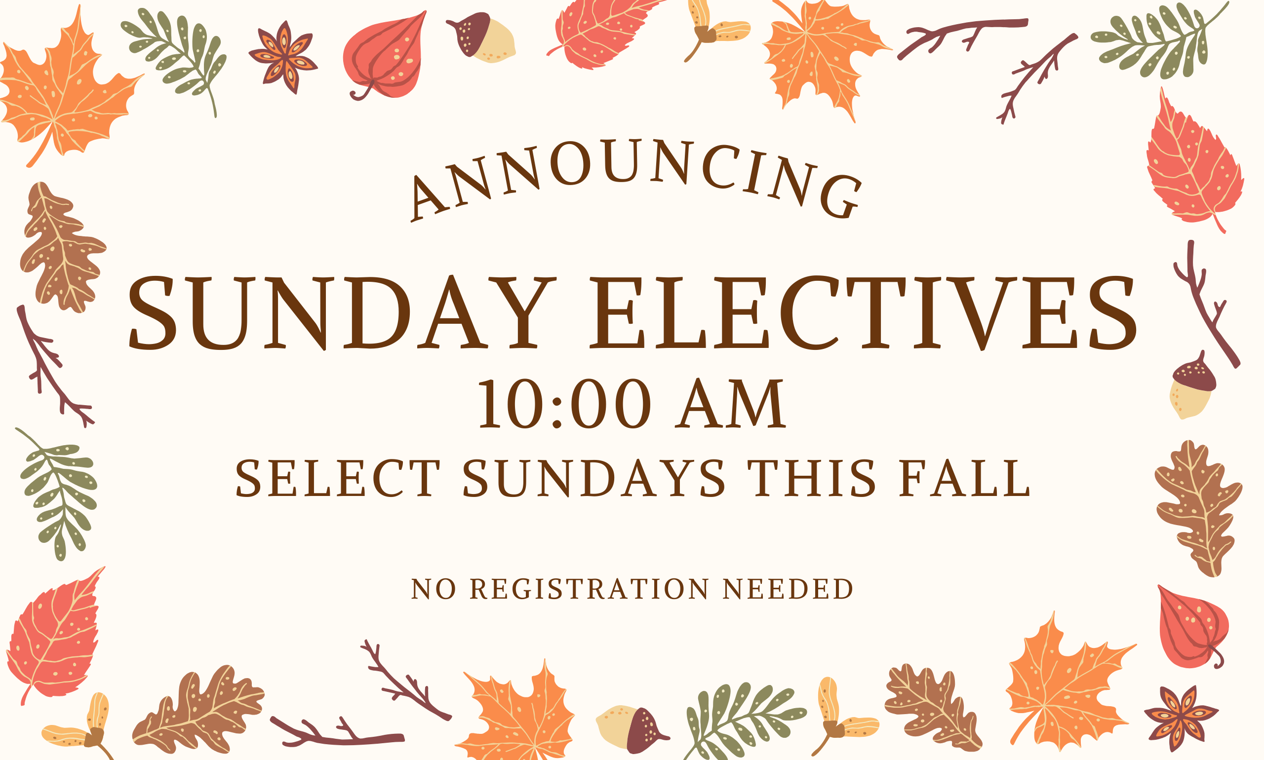 New This Fall – Sunday Morning Electives